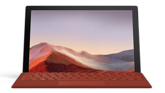 泰山清洁和维护 Surface